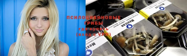 ПСИЛОЦИБИНОВЫЕ ГРИБЫ Краснотурьинск