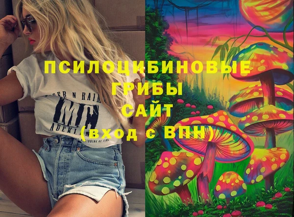 ПСИЛОЦИБИНОВЫЕ ГРИБЫ Краснотурьинск