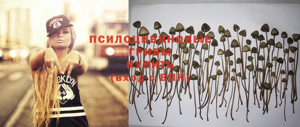 ПСИЛОЦИБИНОВЫЕ ГРИБЫ Краснотурьинск