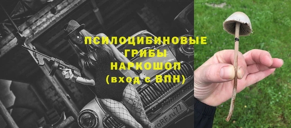 сатива Красноперекопск