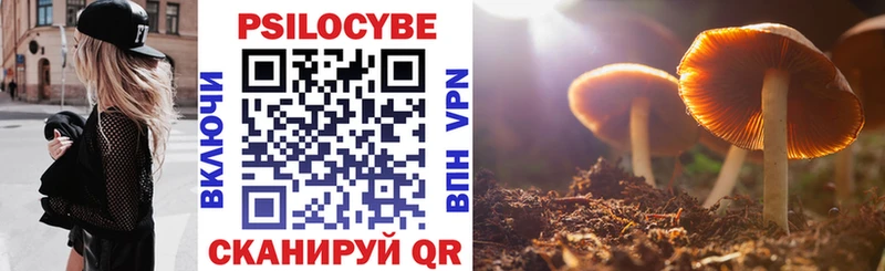 Галлюциногенные грибы Psilocybe  Междуреченск 