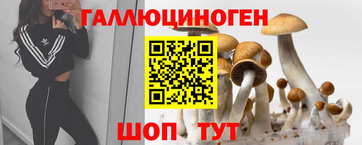 Псилоцибиновые грибы прущие грибы  Галлюциногенные грибы MAGIC MUSHROOMS  хочу наркоту  Междуреченск 