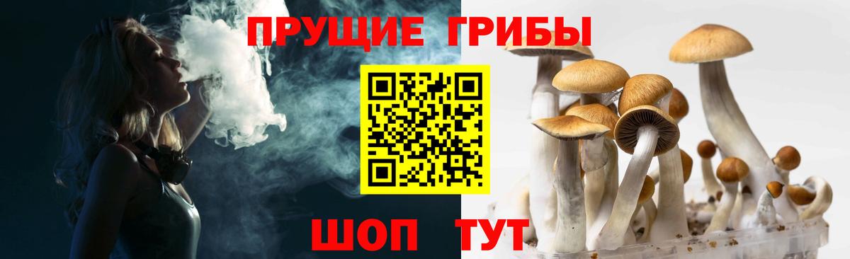 Галлюциногенные грибы прущие грибы Междуреченск